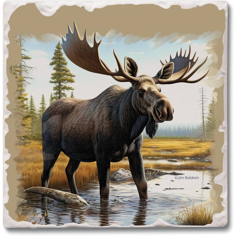 Big Moose 4 Pack Tumbled Tile Stone Coaster with Protective Cork Backing Manufactured in The USA 4" Square - Multi-Color