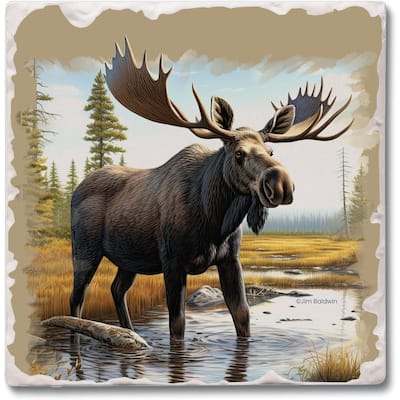 Big Moose 4 Pack Tumbled Tile Stone Coaster with Protective Cork Backing Manufactured in The USA 4" Square