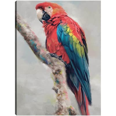 Island Aviary II By Studio Arts Canvas Art Print