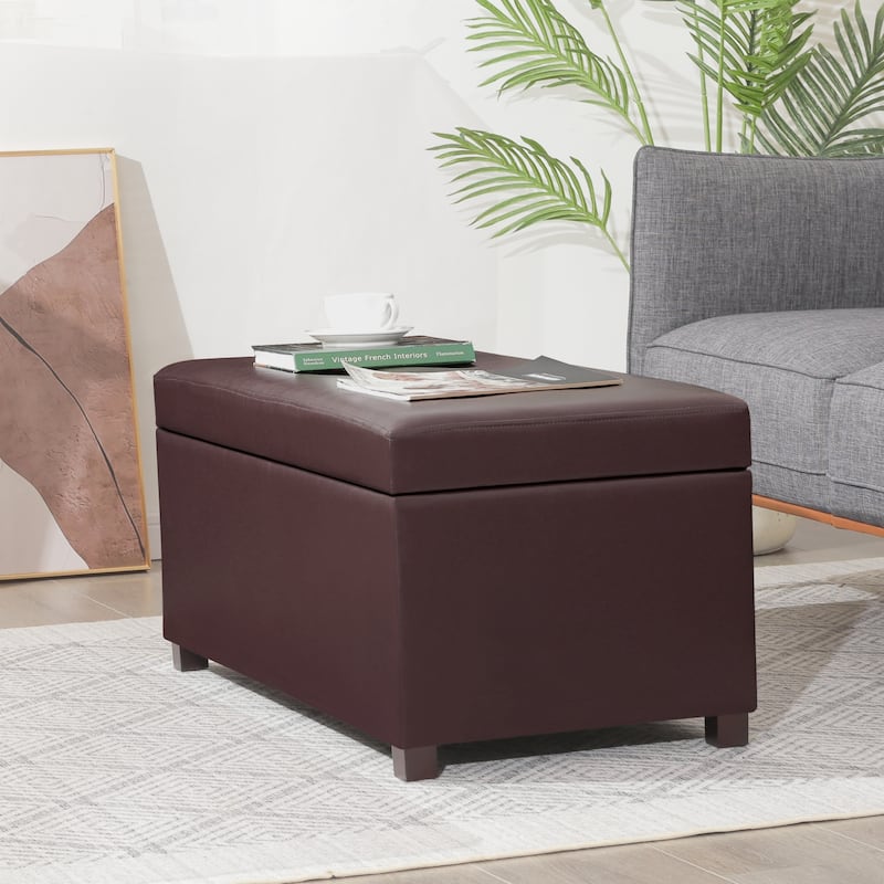 Adeco Rectangle Storage Ottoman Bench for Living Room Bedroom