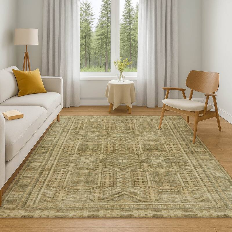 Premium Washable Super Soft Traditional Global Mayfield Rug