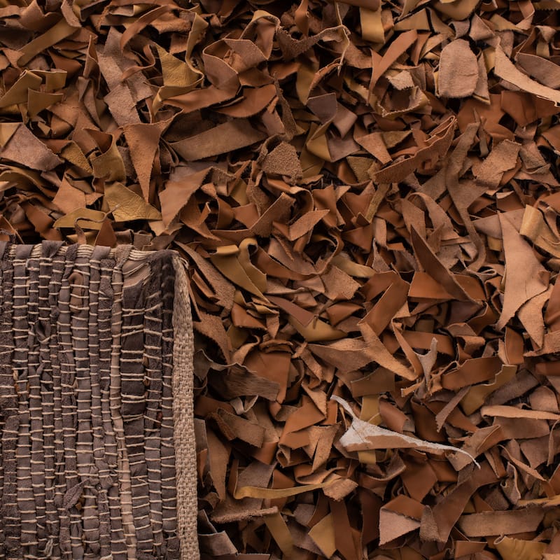 SAFAVIEH Handmade Leather Shag Carlijn Modern Leather Rug