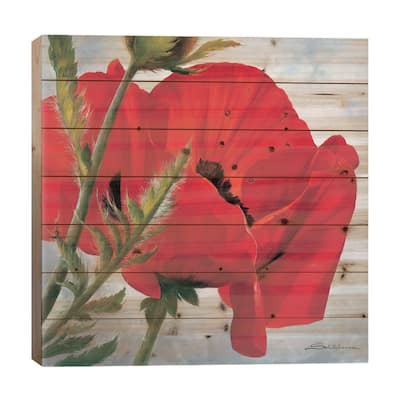 The Red Poppy Print On Wood by Heinz Scholnhammer - Multi-Color