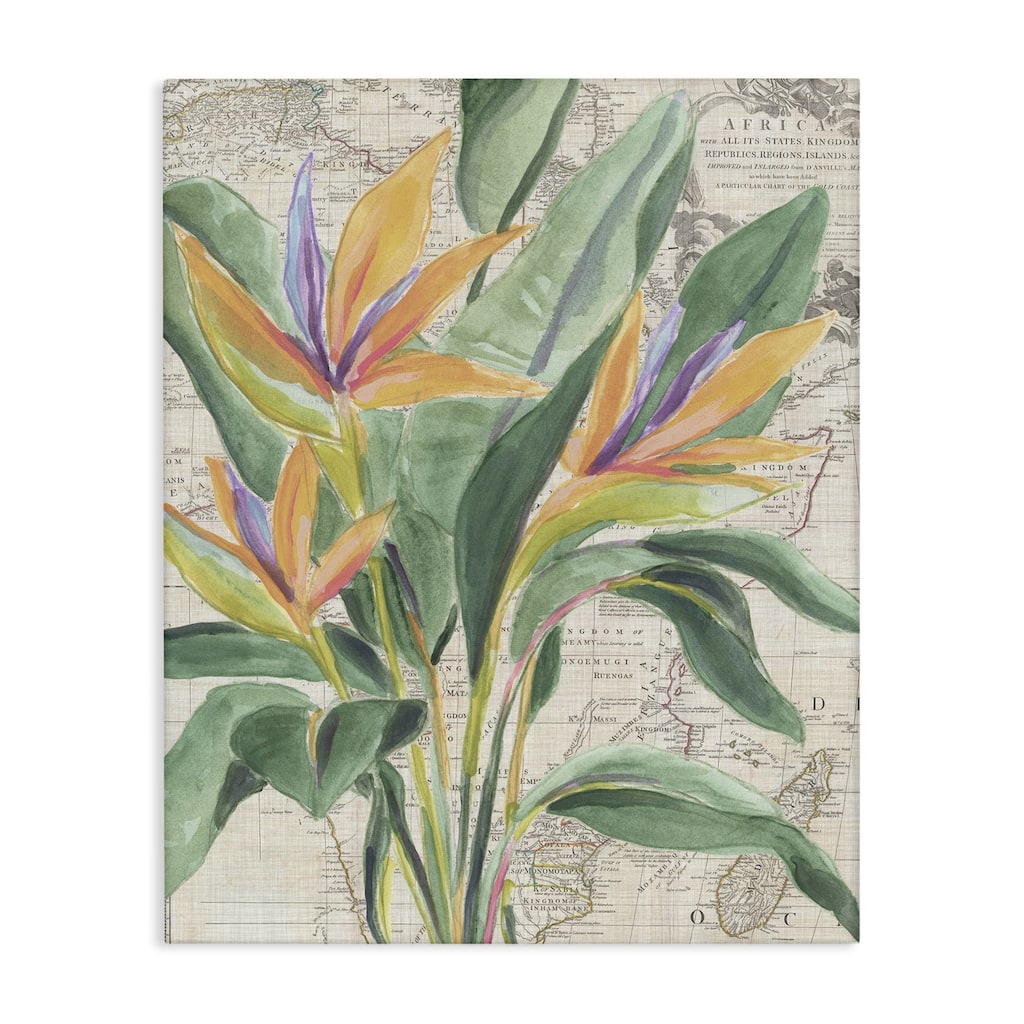 Stupell Bird of Paradise over Map Canvas Wall Art Design By June Erica Vess