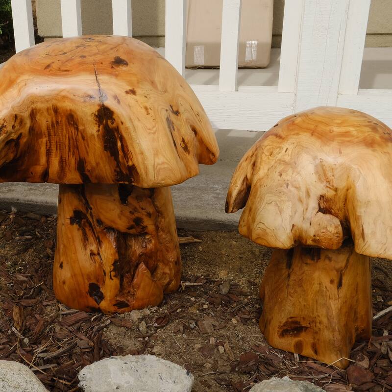 Greenage Cedar Roots Stump Mushroomn Natural Edge Side Table