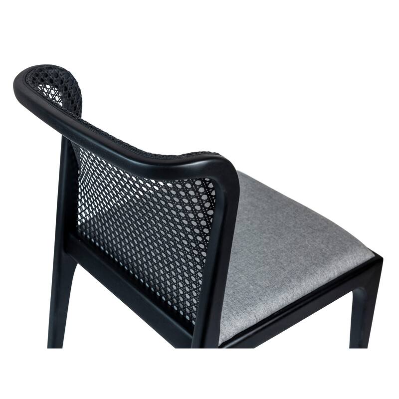 Modern Brazilian - Eloa - Cane Side Chair