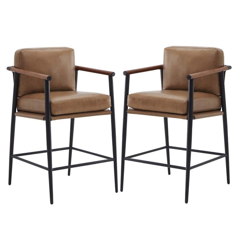 Spruce & Spring Chris Modern Counter Stools Set with Metal & Wood - Set of 2