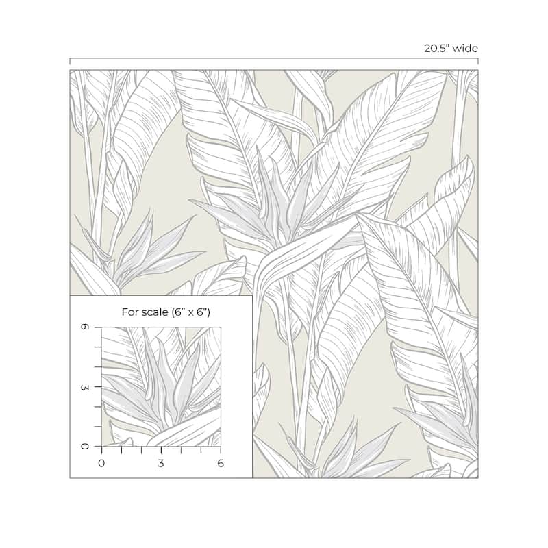 Stacy Garcia Home Birds of Paradise Peel and Stick Wallpaper