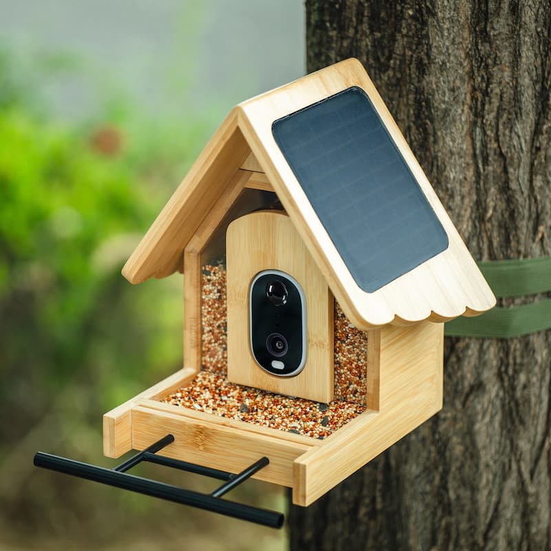 Smart Solar Bamboo Bird Feeder with 3MP AI Camera, 144° Wide-Angle Lens and Daily Video Highlights