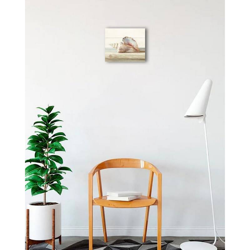 Driftwood Shell IV Art Poster - Print On Demand - 12 x 12 Inch