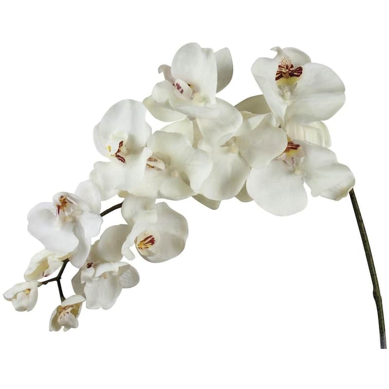 Creamy White Phalenopsis Orchid Stem Artificial Flower Bed Bath