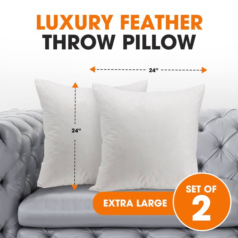 Cheer Collection Feather Down Decorative Square Pillow