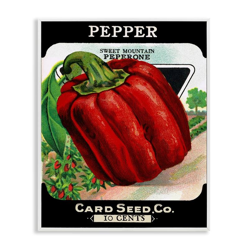 Stupell Vintage Garden Peppers Framed Giclee Art Design By Lil' Rue - 24 x 30 - White