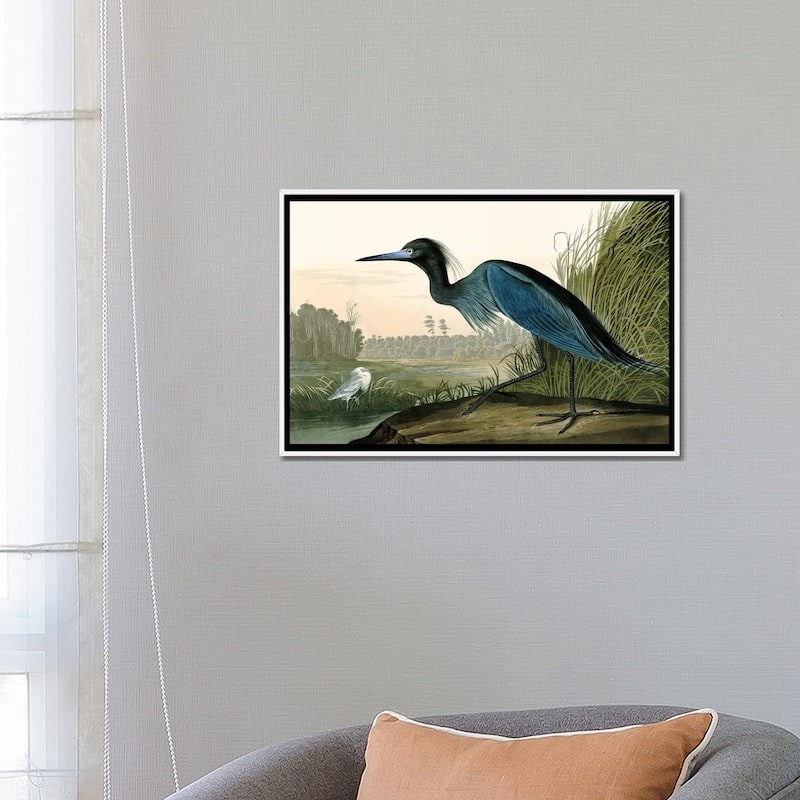 iCanvas "Blue Crane" by Piddix Framed Canvas Print