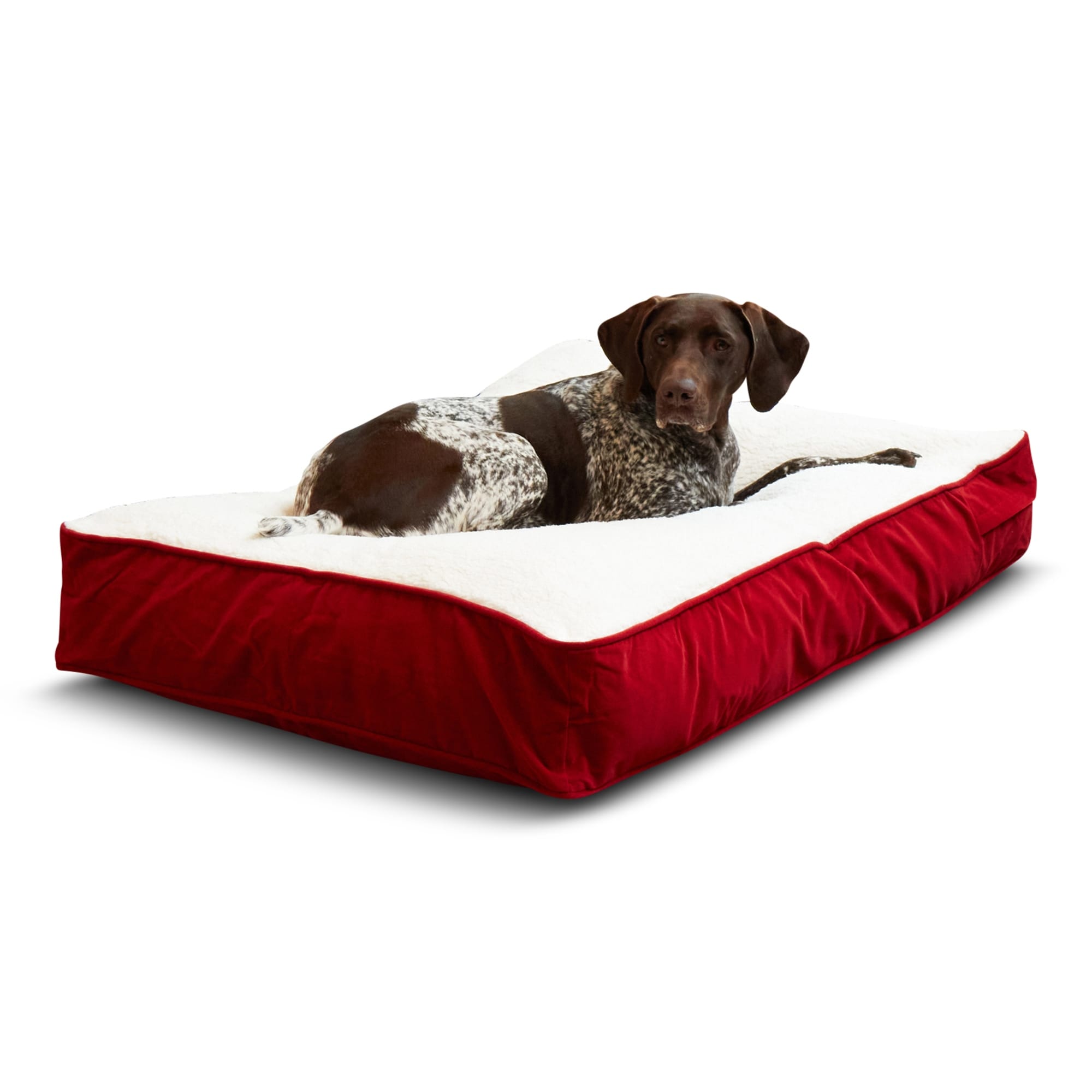 Dog pajamas bed bath and beyond cheap