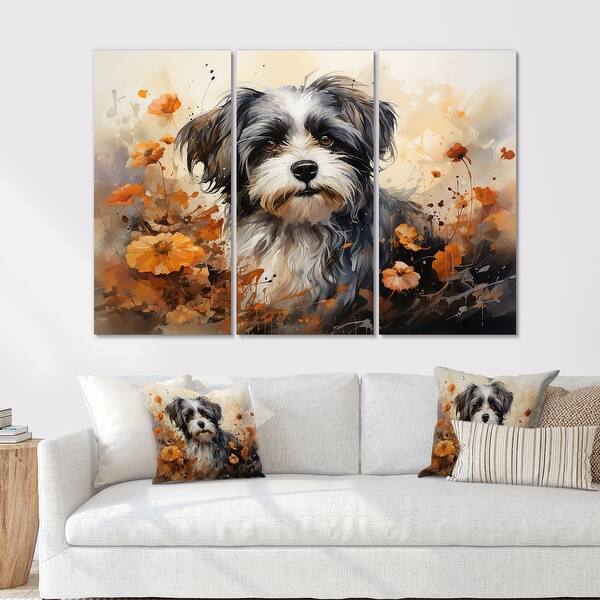 Shih Tzu Slides 1 Shih Tzu Slides 1