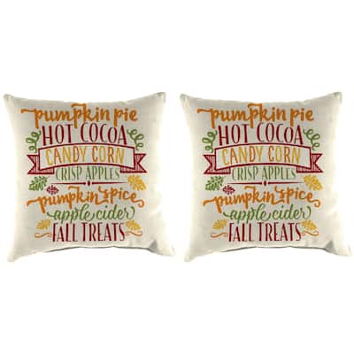 16" x 16" Outdoor Throw Pillow - Set of 2 - 16'' L x 16'' W x 4'' H