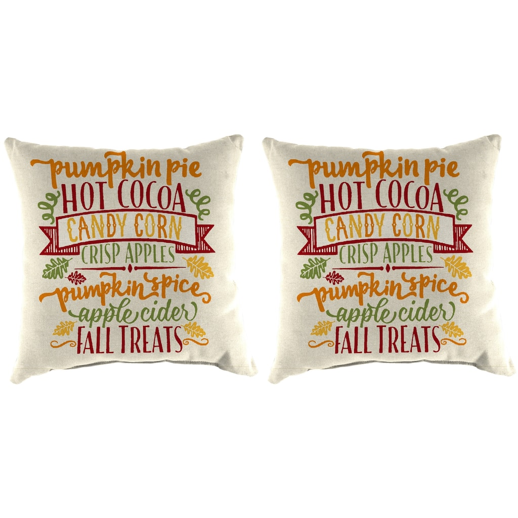 16" x 16" Outdoor Throw Pillow - Set of 2 - 16'' L x 16'' W x 4'' H
