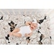 preview thumbnail 6 of 4, Sweet Jojo Designs Black and Off White Boho Shabby Chic Floral Girl Fitted Crib Sheet Bohemian Vintage Garden Watercolor Flower