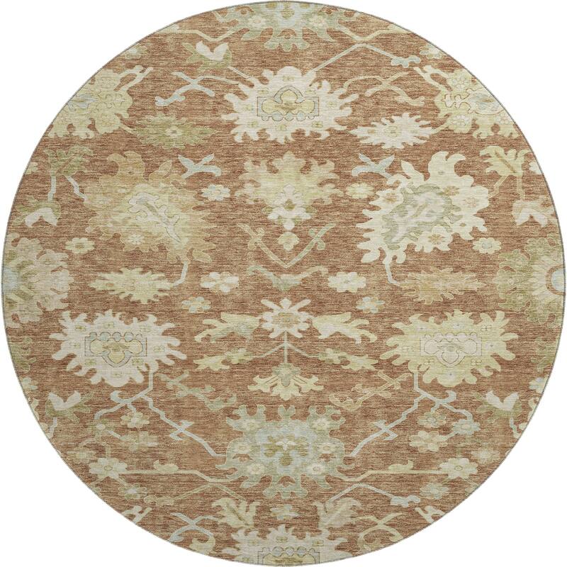 Premium Washable Super Soft Traditional Persian Mayfield Rug
