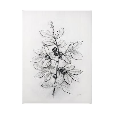 Wildberry Collection Blueberry (36 x 48) Canvas Art Print
