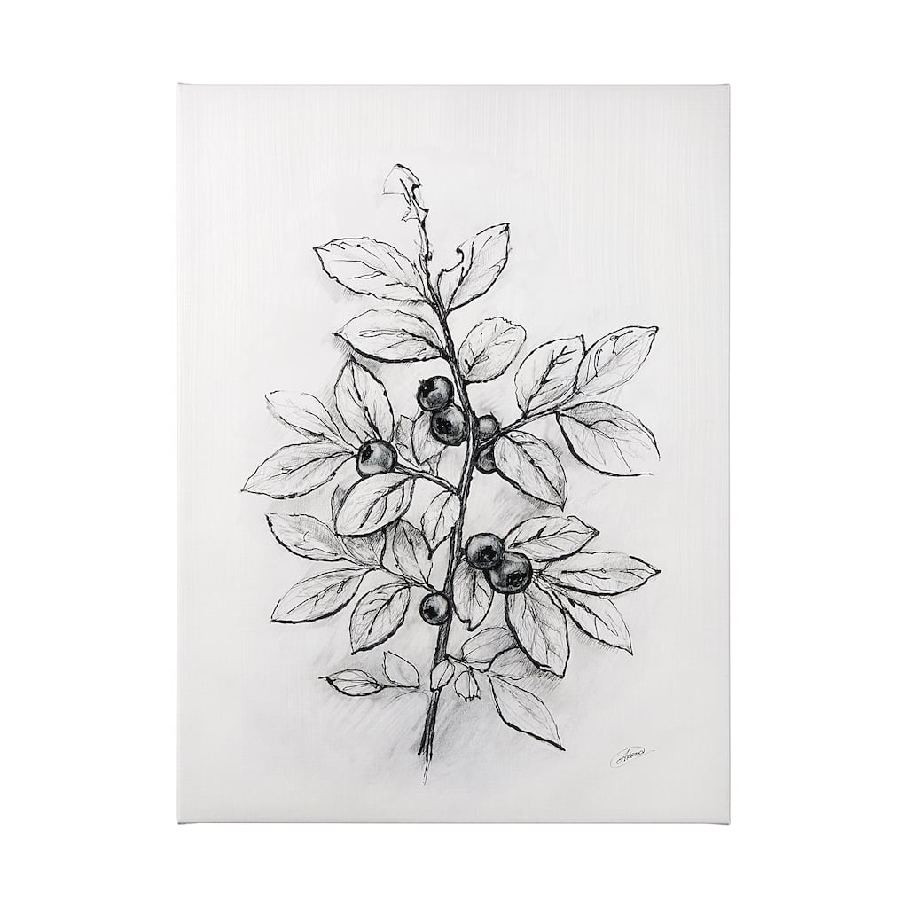 Wildberry Collection Blueberry (36 x 48) Canvas Art Print