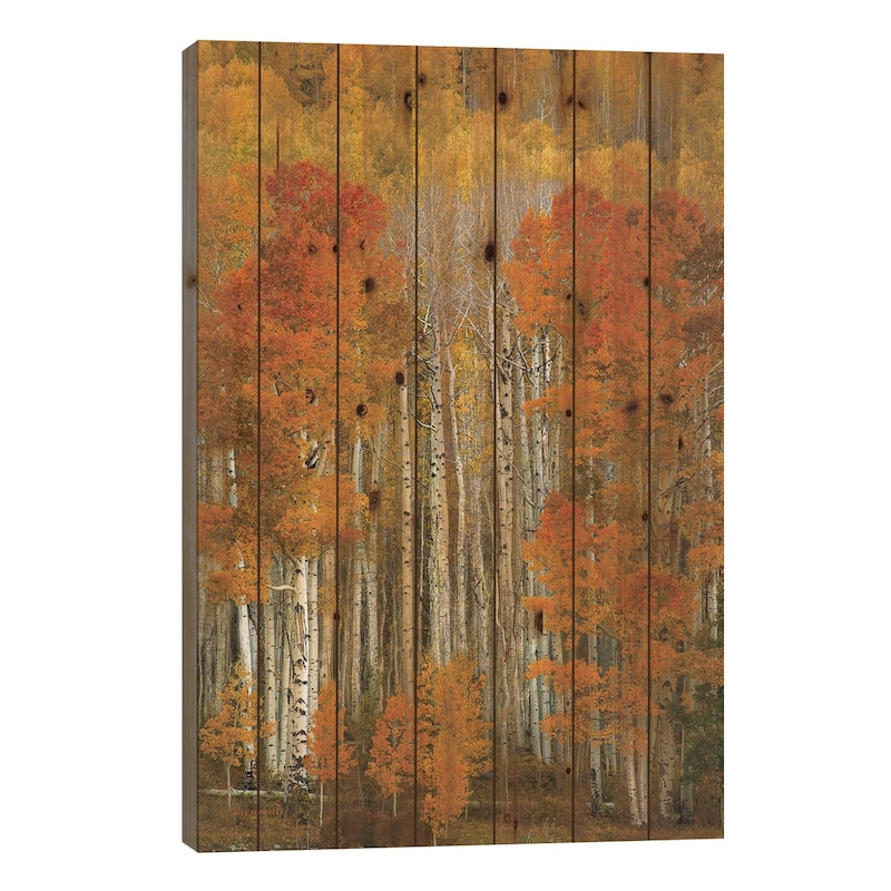 Dalmatian Autumn Print On Wood by Bill Sherrell - Multi-Color - 26x18x1.5