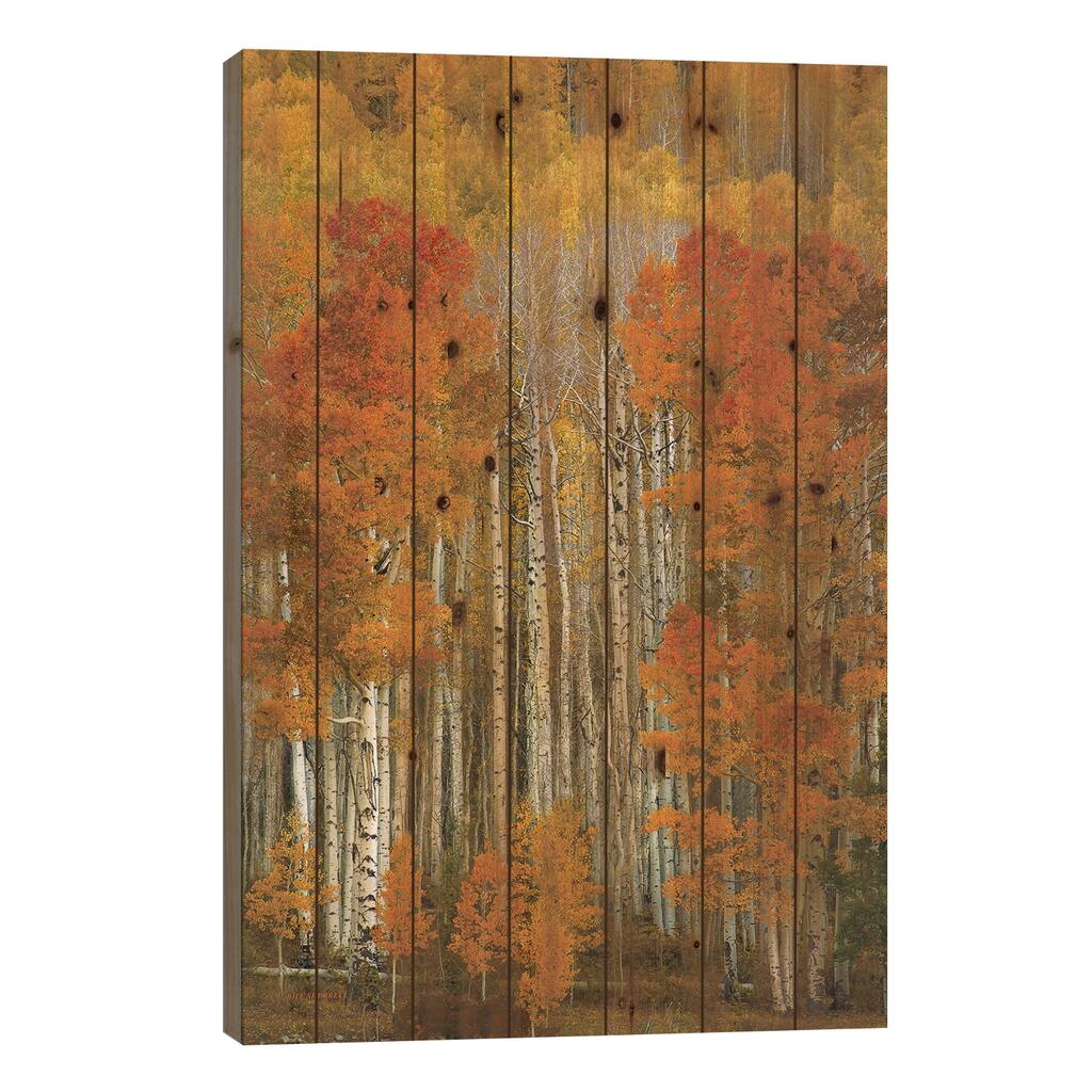 Dalmatian Autumn Print On Wood by Bill Sherrell - Multi-Color