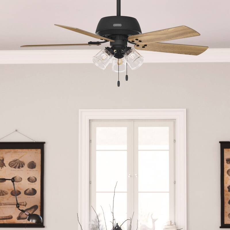 Hunter 52" Shady Grove Ceiling Fan with LED Light Kit/ Pull Chain, Standard or Flush Mount - Casual, Transitional - Standard - Matte Black