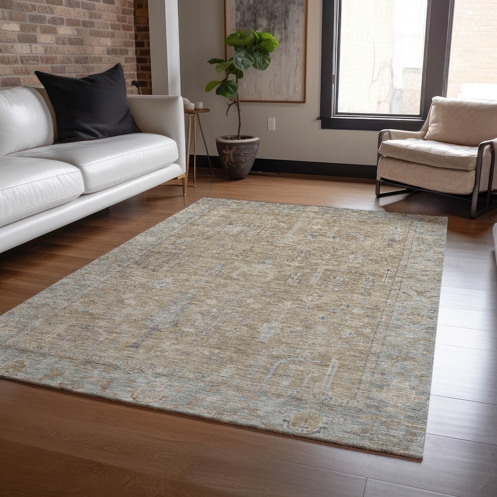 Machine Washable Indoor/ Outdoor Distressed Traditional Chantille Rug