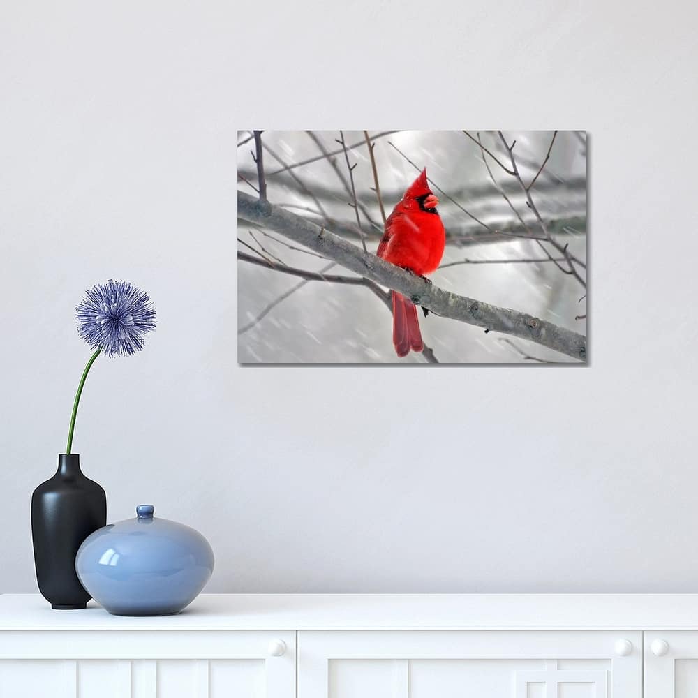 iCanvas "Cardinal Bird" by Unknown Artist Canvas Print
