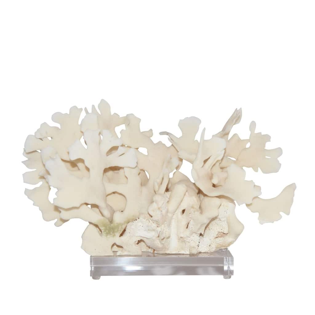 Cactus Coral 10-12 Inch On Acrylic Base