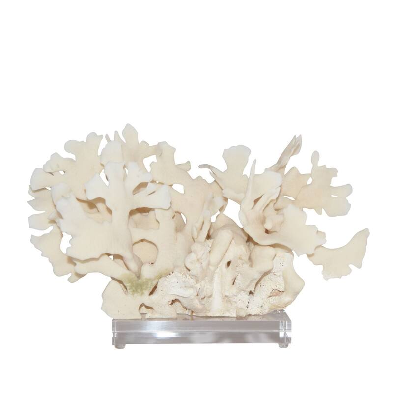 Cactus Coral 10-12 Inch On Acrylic Base