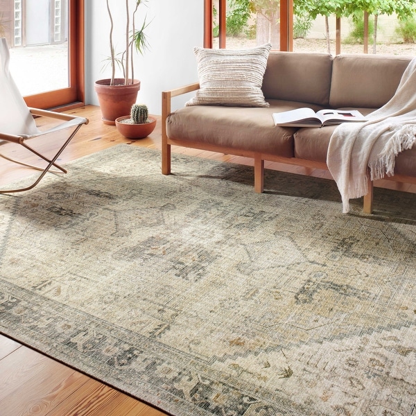 Alexander Home Leanne Printed Persian Distressed Vintage Area Rug On