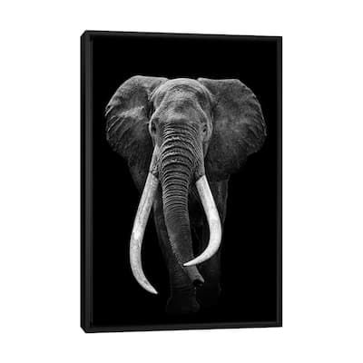 iCanvas "Elephant Black And White" by Adrian Vieriu Framed