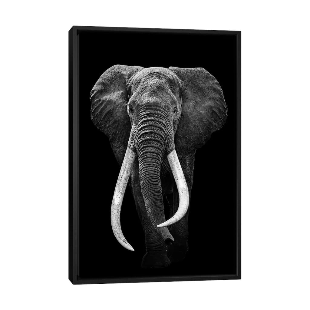 iCanvas "Elephant Black And White" by Adrian Vieriu Framed