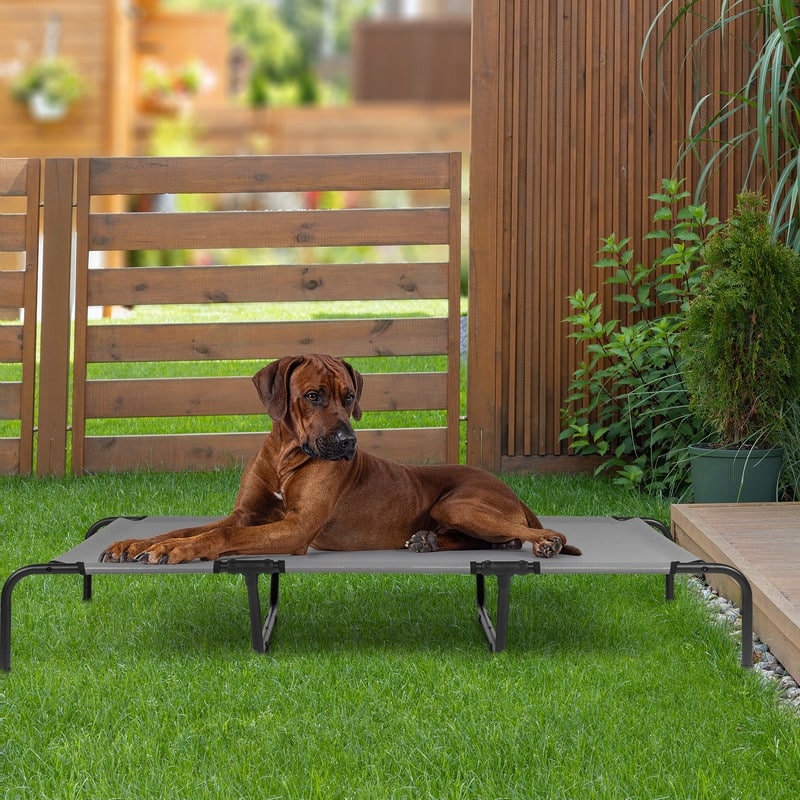 60 in. x 37 in. Iron Frame Gray Mesh Surface Outdoor Dog Cot - 60 in. x 37 in. x 9 in.