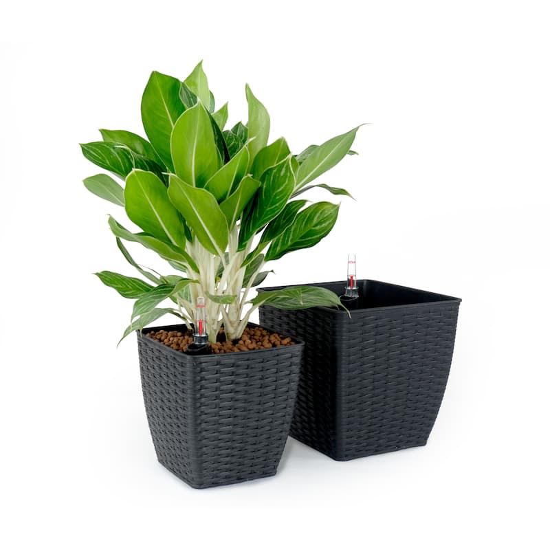 DTY Signature Square Wicker Planters