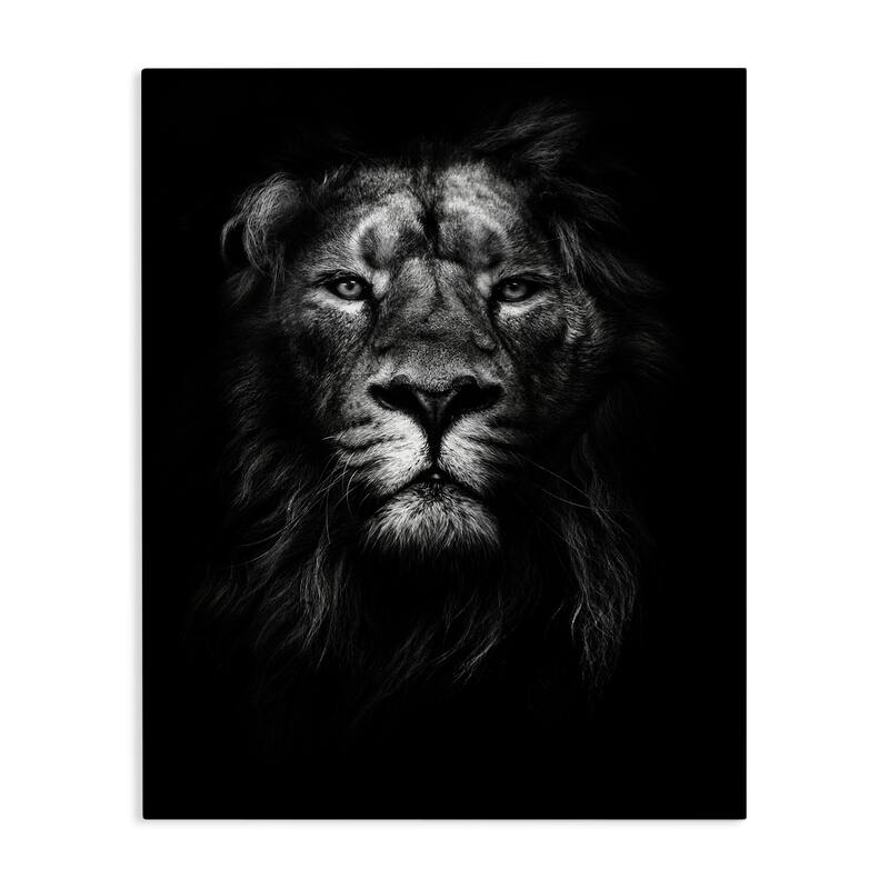 Stupell King of the Jungle Lion In Shadows, 16 x 20, Proudly Made in USA - Multi-Color - 36 x 48
