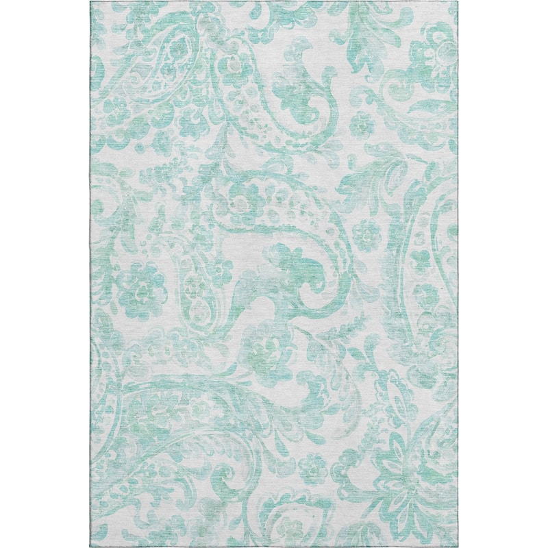 Premium Washable Super Soft Modern Paisley Mayfield Rug