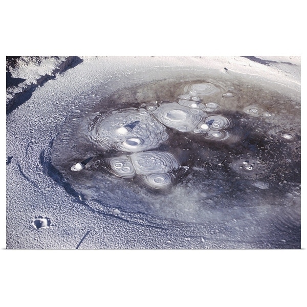 "Bubbling hot springs surrounded by frozen ice , New Zealand" Poster Print