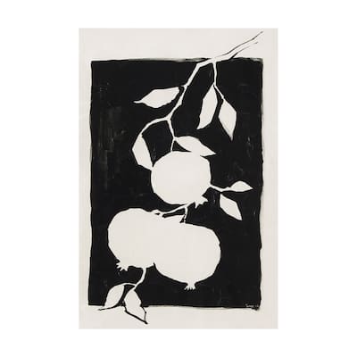 Pomegranate Branch Silhouette (40 x 60) Canvas Art Print