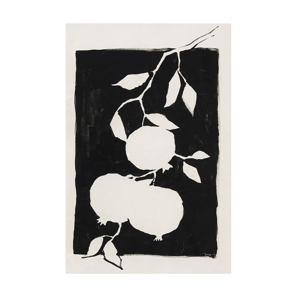 Pomegranate Branch Silhouette (40 x 60) Canvas Art Print