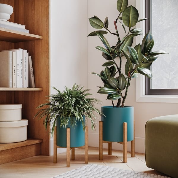 succulant pots Succulent Planters