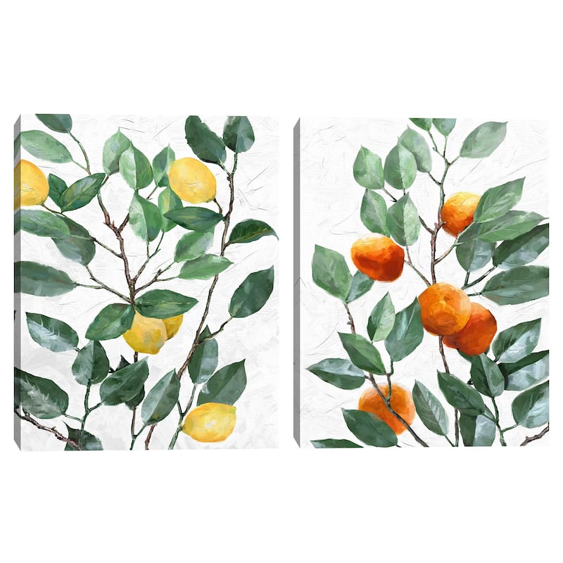 Citrus Tree by Studio Arts Canvas S/2 by Studio Arts Canvas Art Prints