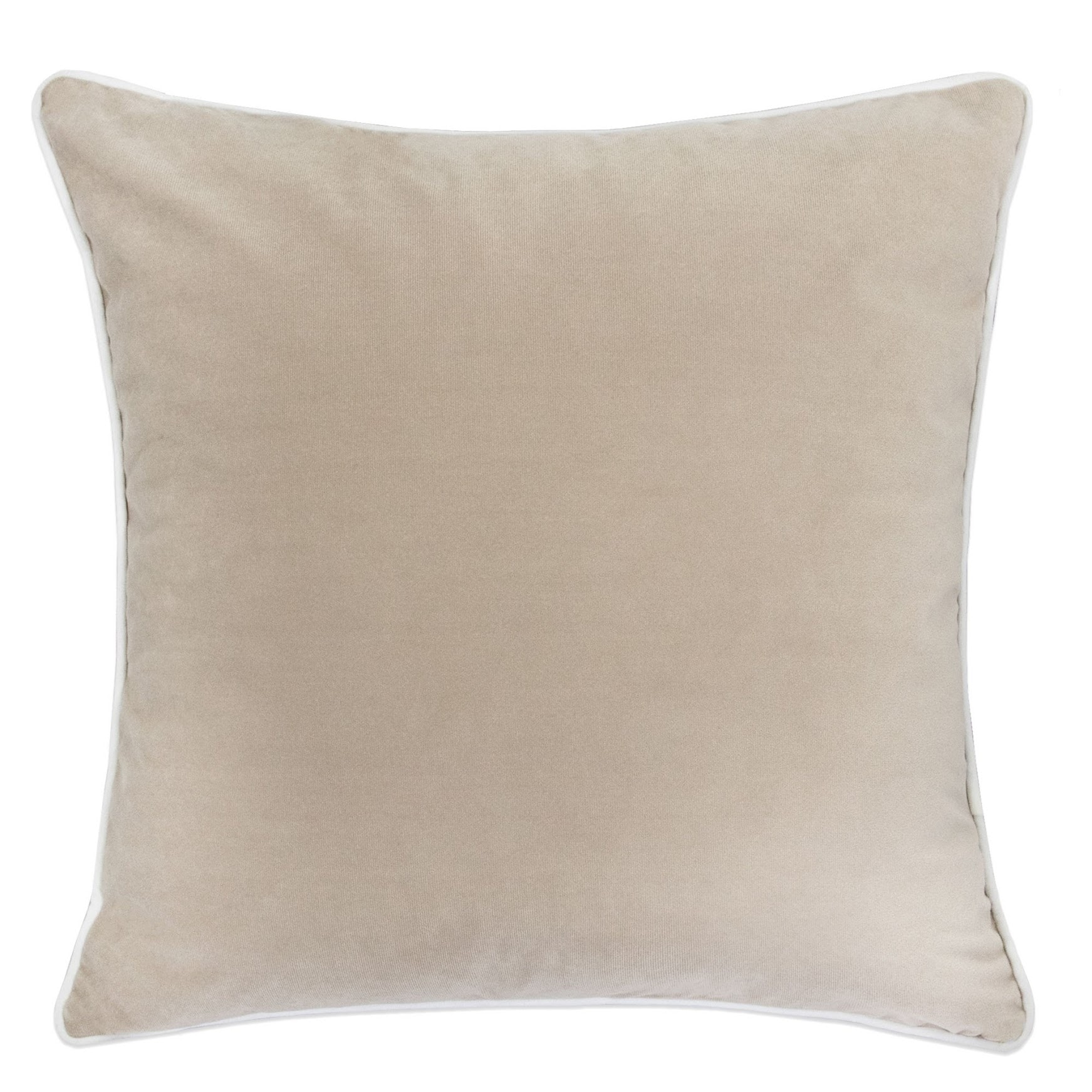 https://ak1.ostkcdn.com/images/products/is/images/direct/de80917cf08fed6d0aed01ef4fe1103db1680cf5/Homey-Cozy-Classical-Velvet-Solid-Throw-Pillow-Cover-%26-Insert.jpg