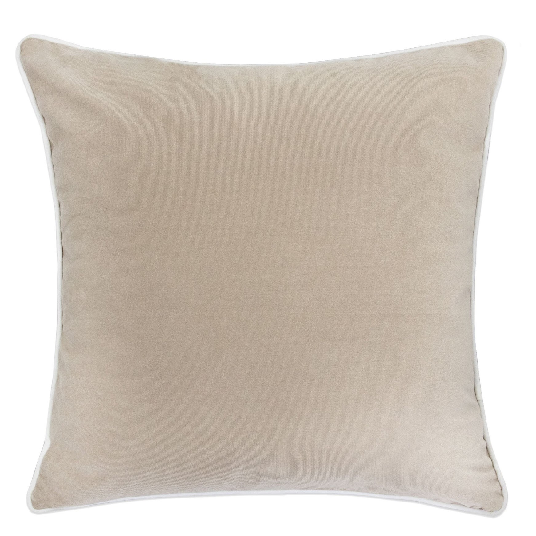 Homey Cozy Velvet Solid Throw Pillow Cover Insert Set of 2