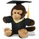 preview thumbnail 1 of 4, DolliBu Monkey Graduation Plush Toy with Gown and Cap with Tassel - 9 inches