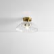 Option Clear / Gold