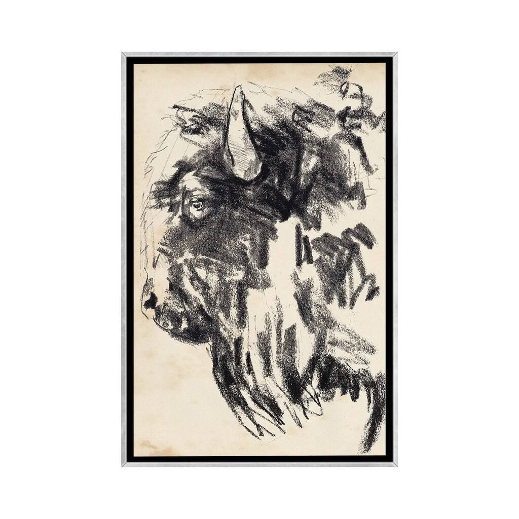 iCanvas "Bison Head Gesture II" by Jennifer Paxton Parker Framed